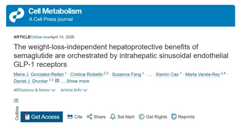 《细胞·代谢》重磅：破解司美格鲁肽“不靠减重也能护肝”之谜！1.jpg
